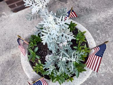 Potted plant with small American flags around it.