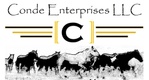 Conde Enterprises LLC