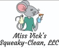 MVSqueaky-Clean