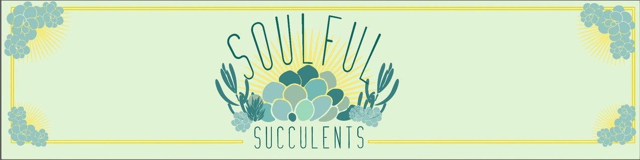 SOULFUL SUCCULENTS