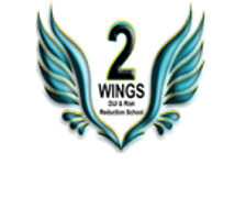 2 Wings DUI & Risk Reduction Schools