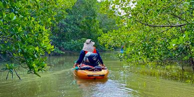 everglades boat tours chokoloskee fl