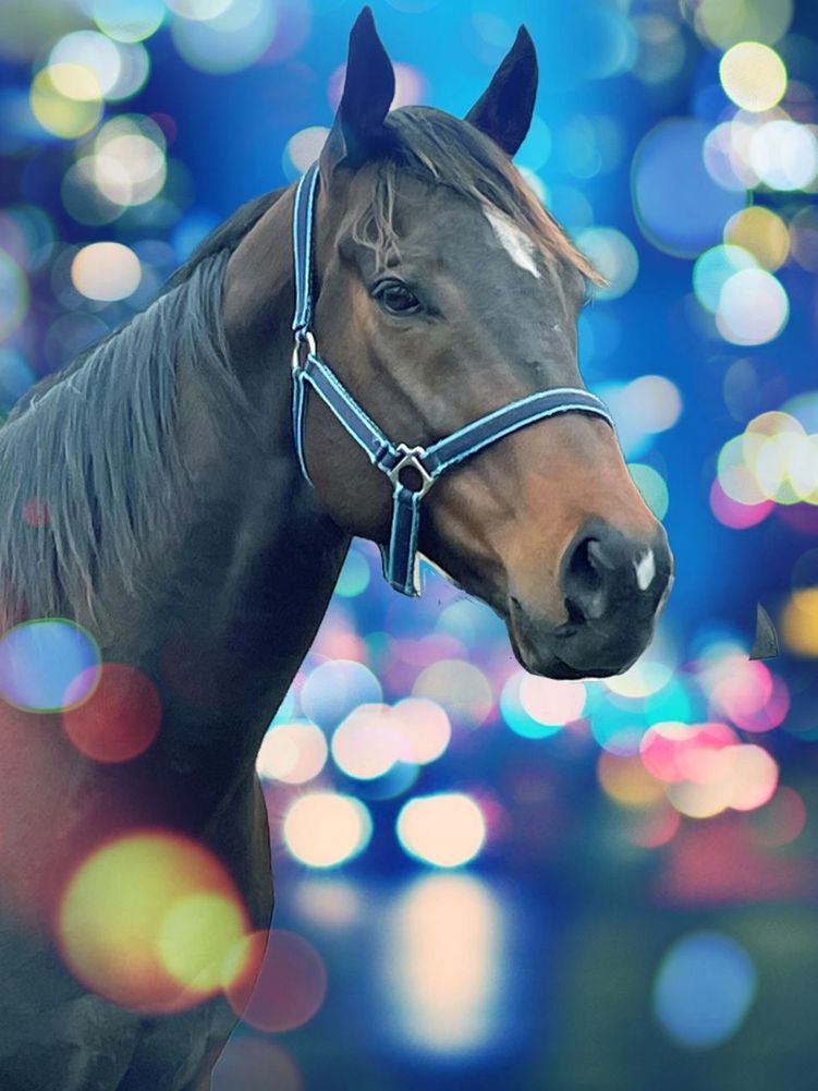 Jasper Counselling, Family Violence, Mental Health Counselor