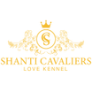 Shanti Cavaliers