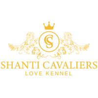 Shanti Cavaliers