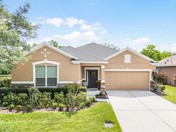 One story single family home with tan stucco and mature landscaping.