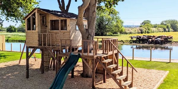 Elevated wooden treehouse with slide beside a pond and grazing cows.