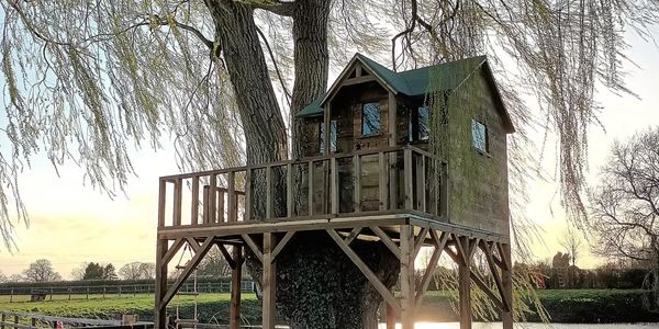 A charming wooden treehouse built around a large tree near a lake at sunset.