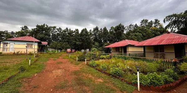 The lushing greenery will make your mind cool