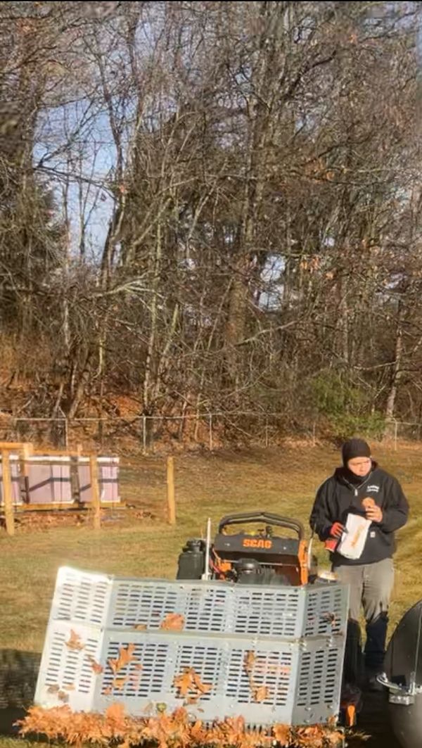 Leaf cleaning Billerica ma 