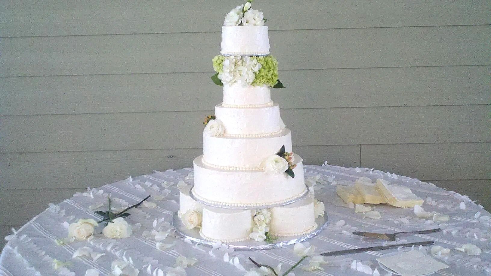 トップス Katie TEA AND CAKE long top トップス Katie TEA AND CAKE long top Katie J NYC Tween Bailey Top