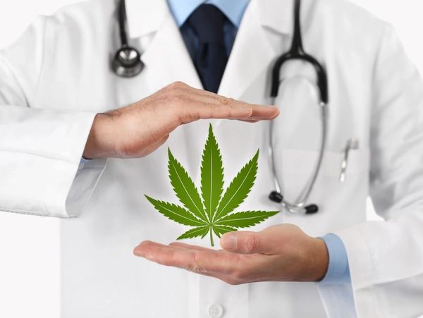 Medicinal Cannabis Program