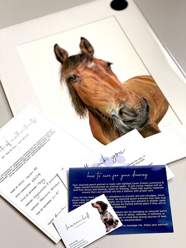 Horse portrait what’s included pet portraits order