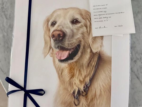 A detailed portrait of a happy golden retriever with a ribbon and certificate.