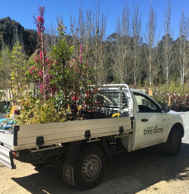 Delivery + Planting Adelaide Tree Farm