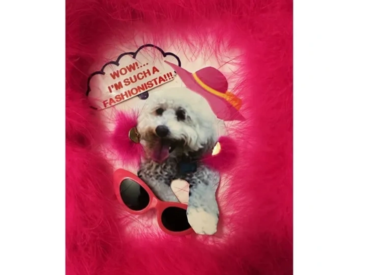 Ruby really IS a Fashionista!!!