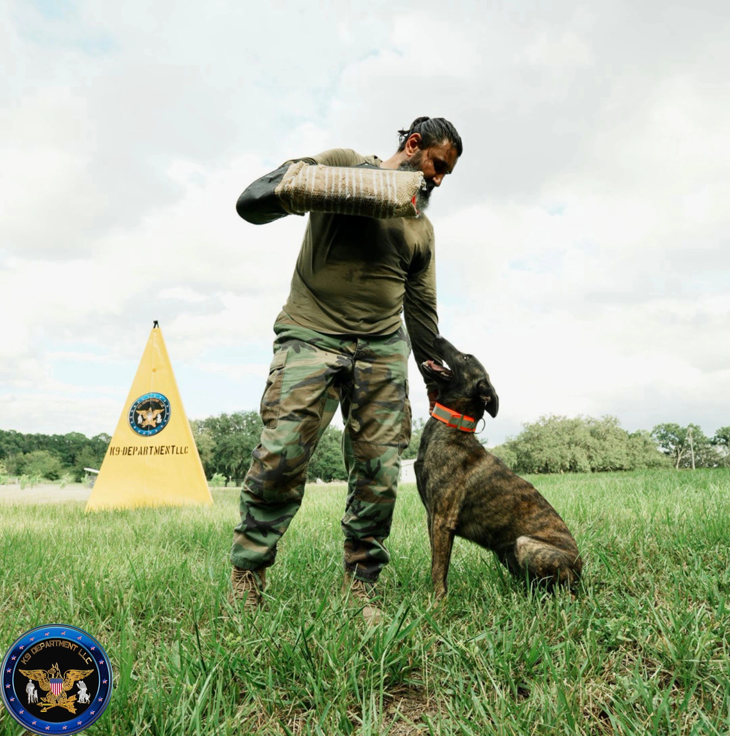How are K9 Dogs Trained: Expert Techniques Revealed
