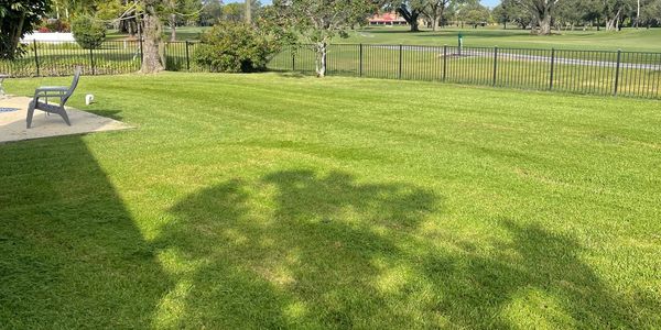 Freshly mowed lawn