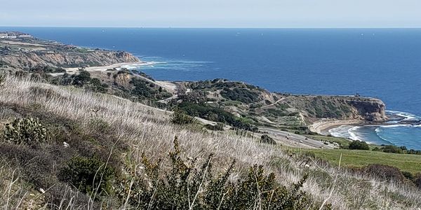 Rancho Palos Verdes preserves are maintained by the Palos Verdes Peninsula Land Conservancy.