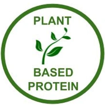 plant based protein