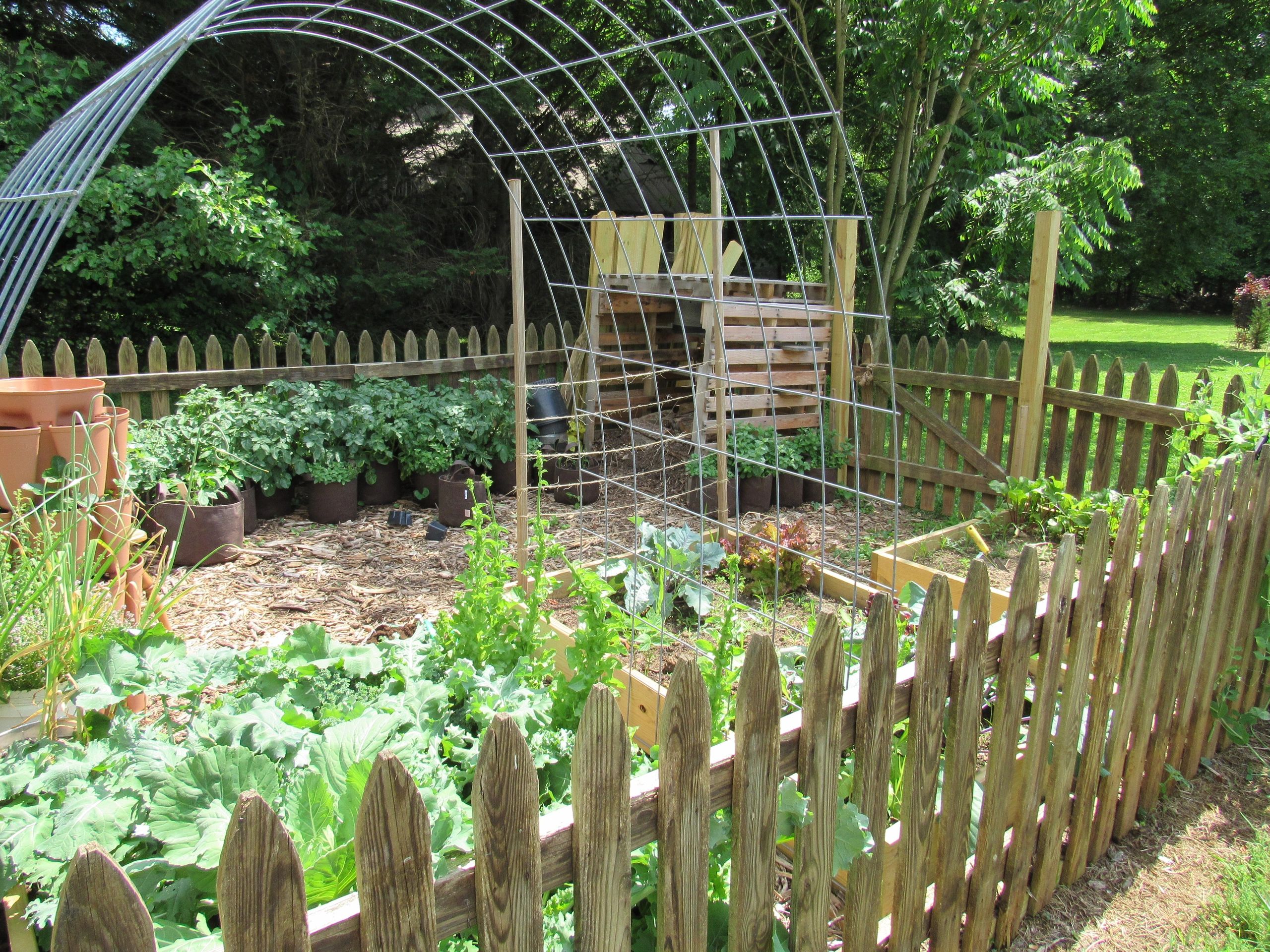Homestead Gardening