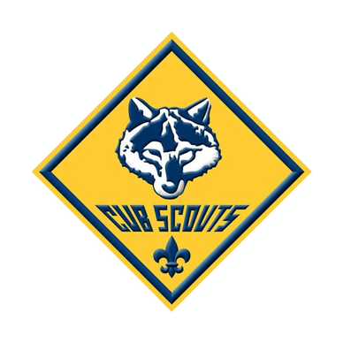 cub scouts