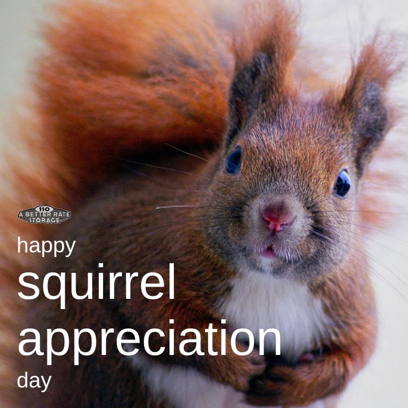 Squirrel Appreciation Day 2019