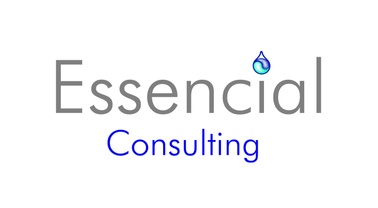 Essencial Consulting 