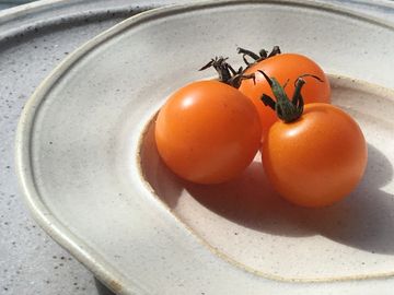 5" Amuse Bouche from the Mainland Tableware Collection in Ochre Iron Stoneware hand crafted by Nicole Dubrow Ceramics for Black Sheep Pottery