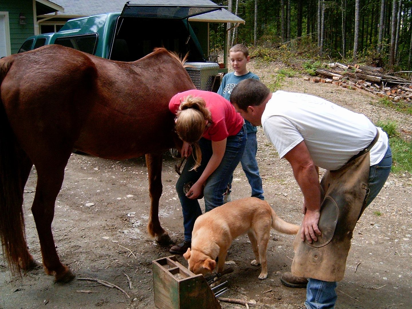 The Whole Horse Place