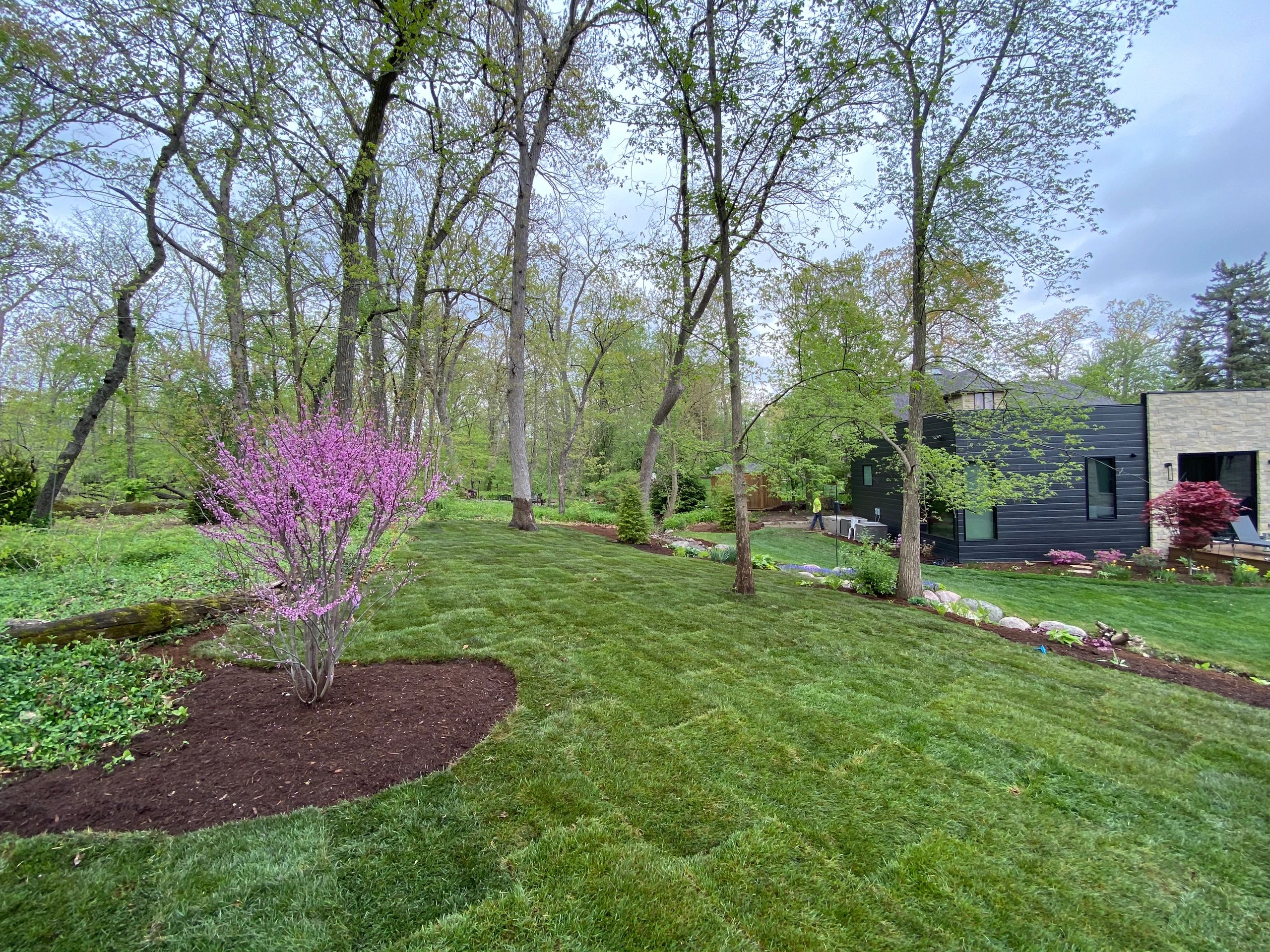 Downers Grove, Sod, Landscaping, Mulch