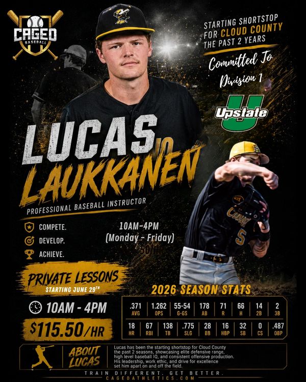 Lucas Laukkanen, professional baseball instructor offering private lessons and showcasing impressive stats.