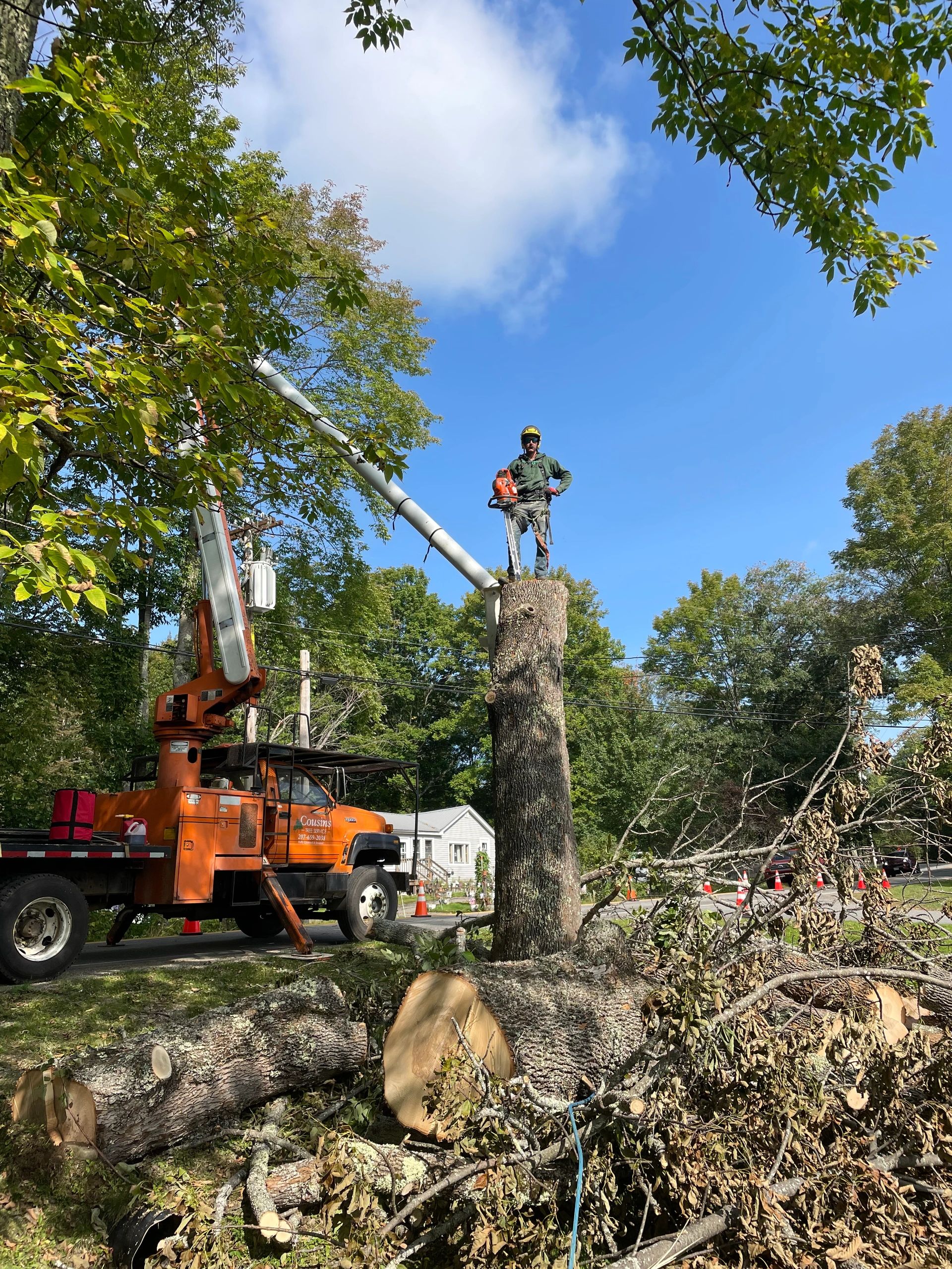Cousins Tree Service Professional Tree Care