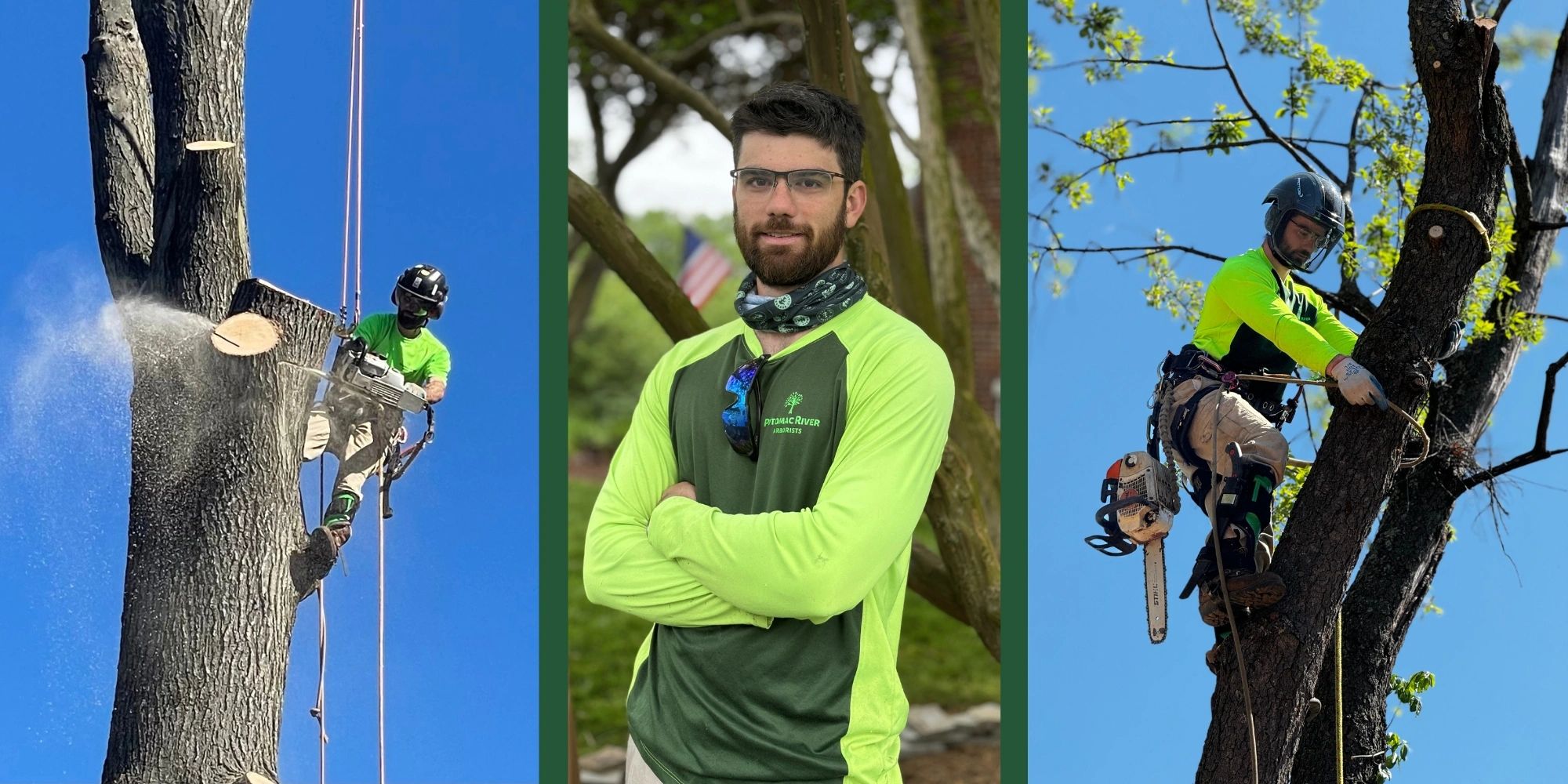 Potomac River Arborists work site