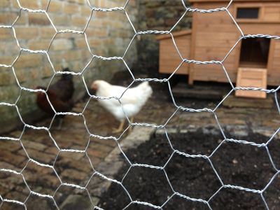 Buy chicken mesh, hexagonal wire netting, and poultry wire mesh in Bangalore at the best price.