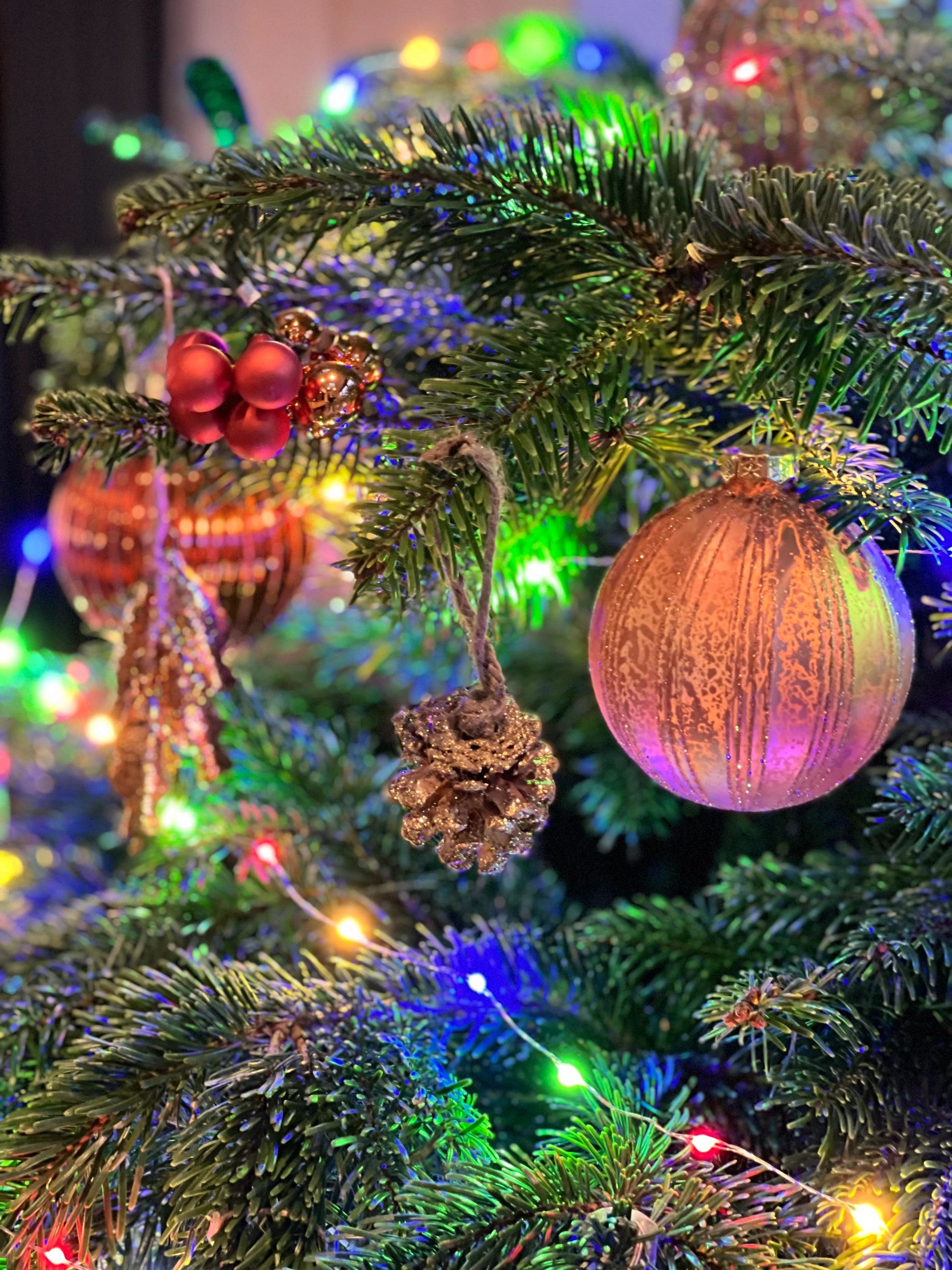 Real Christmas Trees Christmas Trees Bromley