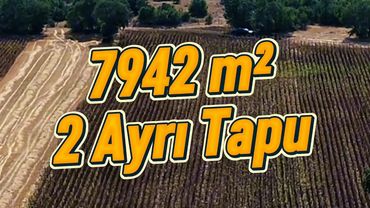 Kırklareli, Pınarhisar, Ataköy ana asfalta yakın, 2 ayrı tapu, yerleşime yakın FIRSAT