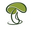 Kinoko Organics 