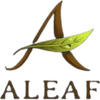 Aleaf Trading