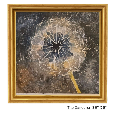 Description: 8.5"×8" 
Retail Value: $102
TODAY: $31
