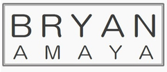 Bryan Miami Realtor