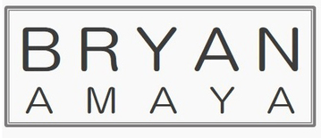 Bryan Miami Realtor