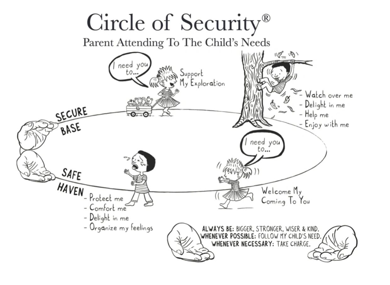 Diagram of Circle of Security showing parent support for child's needs.