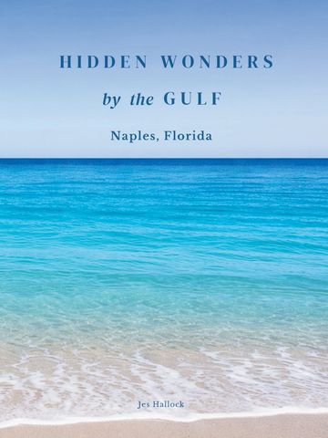 A serene beach scene with clear blue waters and gentle waves in Naples, Florida.