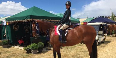 One of Brawley Farm's lesson horses poses with ribbons from a hunter-jumper horse show. 