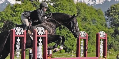 Horse trained at Brawley Farms jumping a fence at a hunter-jumper show. 