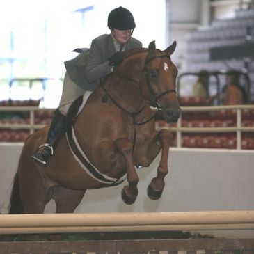 Debbie Brawley riding in a hunter class at a show horse. 