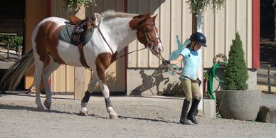 Young student leads a paint pony to ride outside on the trails. 