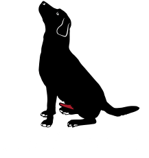  horndogswag.com