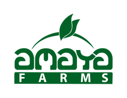 Amaya Farms